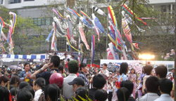 Sakura Festival in Vietnam